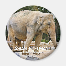 Asian Elephant Magneet