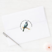 Asian Koel Ronde Sticker (Envelop)