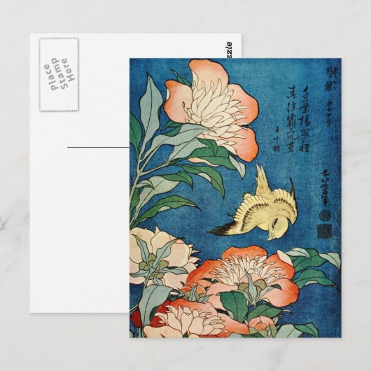 ASIAN PEONIES briefkaart (Voorkant / Achterkant)