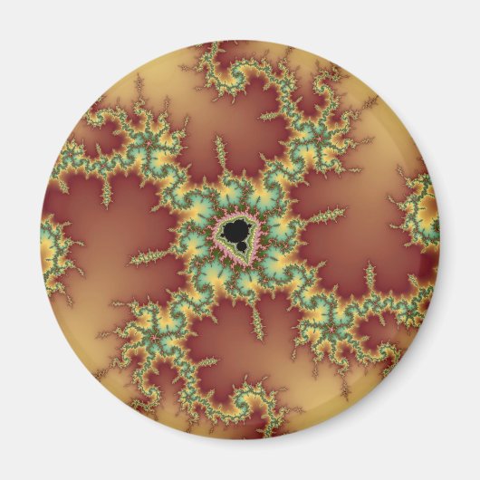 Asian Spider - Fractal Magneet (Voorkant)