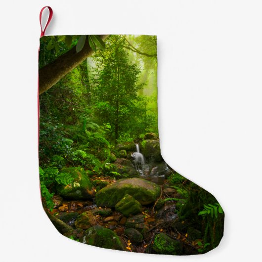 Asian tropical rainforestjungle,forest,environment kleine kerstsok (Voorkant)