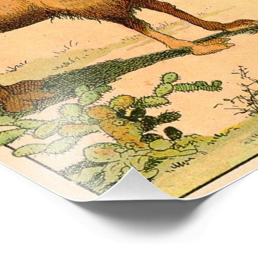 Asian Two Hump Camel Foto Afdruk (Hoek)