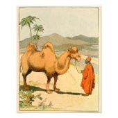Asian Two Hump Camel Foto Afdruk (Voorkant)