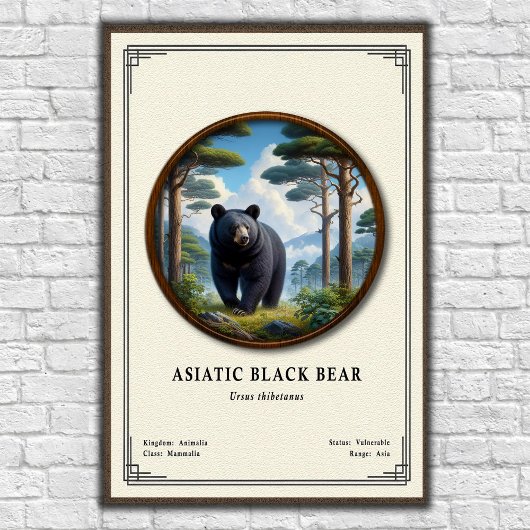 Asiatic Black Bear Zoology Series Poster