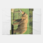 Asiatic Elephants Kitchen Towel Theedoek (Horizontaal)