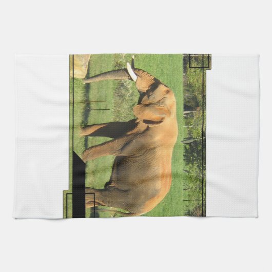 Asiatic Elephants Kitchen Towel Theedoek (Horizontaal)