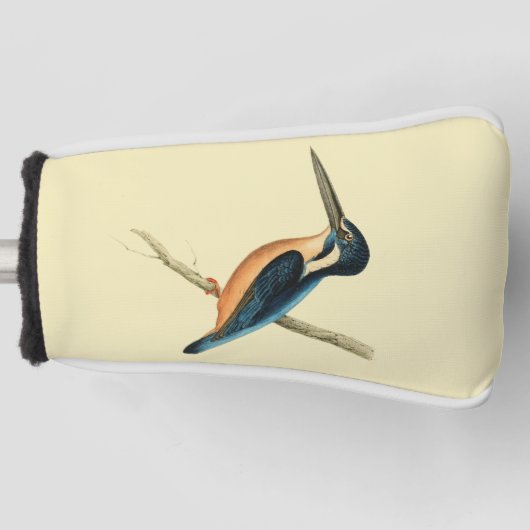 Asiatic Kingfisher Golfheadcover (Voorkant)