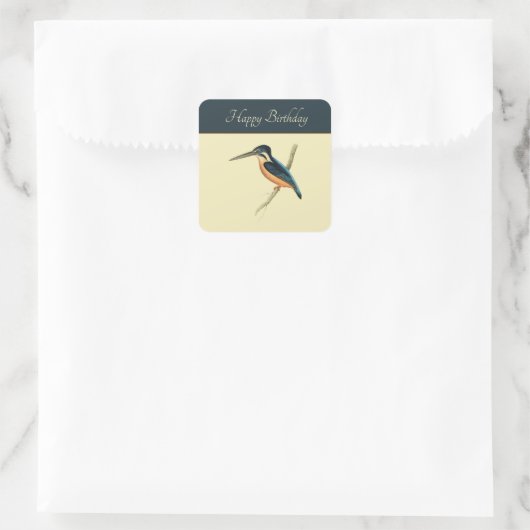 Asiatic Kingfisher Vierkante Sticker (Tas)