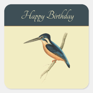 Asiatic Kingfisher Vierkante Sticker
