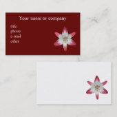 Asiatic Lily ~ biz-kaart Visitekaartje (Voorkant / Achterkant)