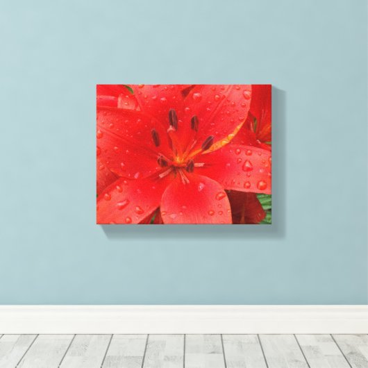 Asiatic Lily Canvas Afdruk (Insitu (Houten vloer))