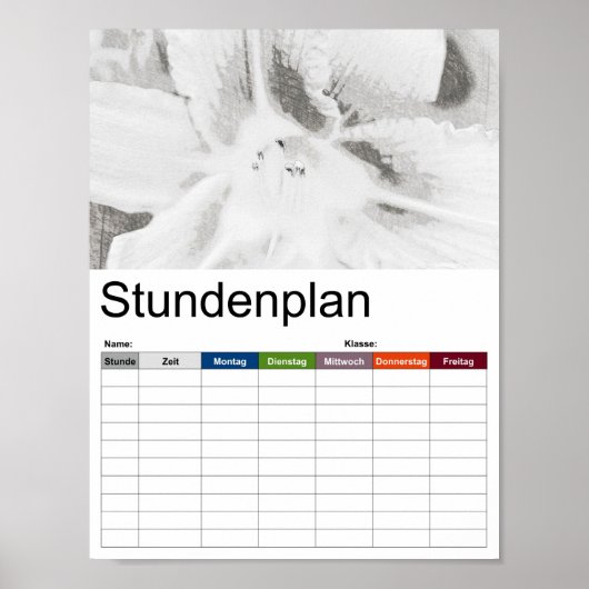 Asiatic Lily SketchBW Timtable Poster (Voorkant)