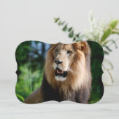 Asiatic Lion of Iran Kaart (Staand voorkant)