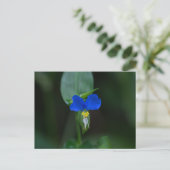 Asiatisch Briefkaart voor dagbloem Blauw Wilde Blo (Staand voorkant)