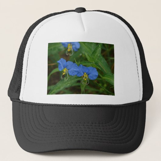 Asiatisch Dayflower Blue WIldflower Apparel & Gift Trucker Pet (Voorkant)