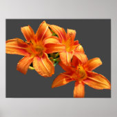 ASIATISCH ORANJE LILY POSTER (Voorkant)