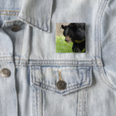 Asiatisch zwart Beer Vierkante Button 5,1 Cm (In situ)