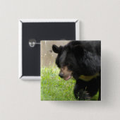 Asiatisch zwart Beer Vierkante Button 5,1 Cm (Voorkant /achterkant)