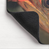 Asiatische arowana muismat (Hoek)