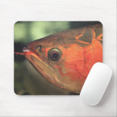 Asiatische arowana muismat (Met muis)