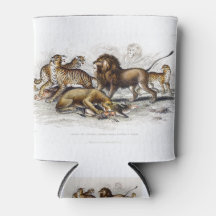 Asiatische lion, leeuwin, bengachtige tijger, luip