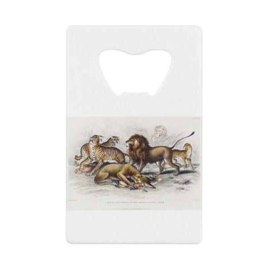 Asiatische lion, leeuwin, bengachtige tijger, luip creditkaart flessenopener (Voorkant)