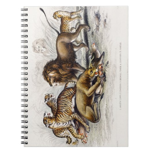 Asiatische lion, leeuwin, bengachtige tijger, luip notitieboek (Voorkant)