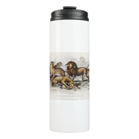 Asiatische lion, leeuwin, bengachtige tijger, luip thermosbeker (Voorkant)