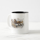 Asiatische lion, leeuwin, bengachtige tijger, luip tweekleurige koffiemok (Voorkant links)