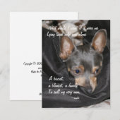 Asielhond - Chihuahua Feestdagenkaart (Voorkant / Achterkant)
