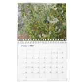 Asilomar Blossom Kalender (Jan 2027)