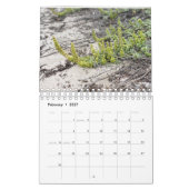Asilomar Blossom Kalender (Feb 2027)
