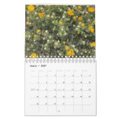 Asilomar Blossom Kalender (Mar 2027)