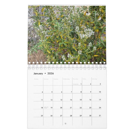 Asilomar Blossom Kalender (Jan 2026)