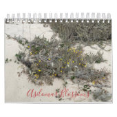 Asilomar Blossom Kalender (Hoes)