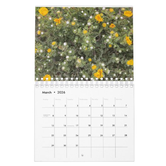 Asilomar Blossom Kalender (Mar 2026)