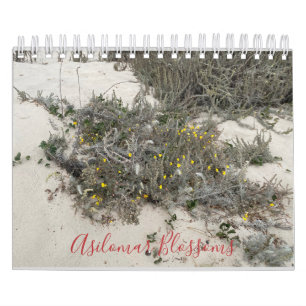 Asilomar Blossom Kalender