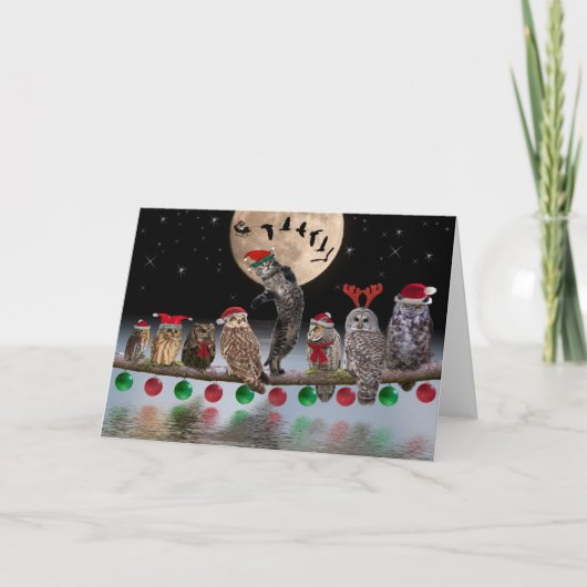 Asio danst met uilen op kerstavond feestdagen kaart (Voorkant)