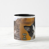 Asio- en Otis-Katten Mok (Midden)