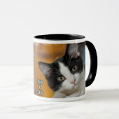 Asio- en Otis-Katten Mok (Voorkant rechts)