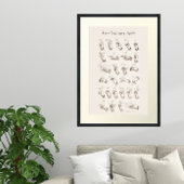  ASL Amerikaanse Gebarentaal Grafiek Poster