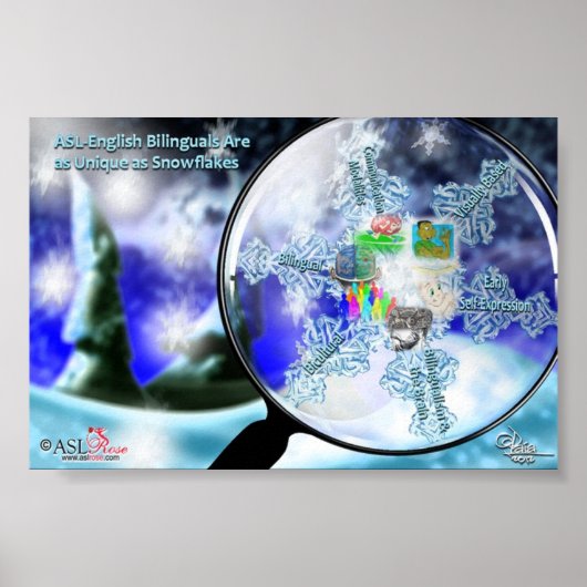 ASL-English Bilinguals - Snowflakes Poster (Voorkant)
