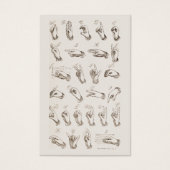 ASL Gebarentaal profiel kaart (Voorkant)