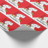 ASL Happy Birthday Cadeaupapier (Hoek)