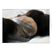 Aslaap 2 (Voorkant Horizontaal)