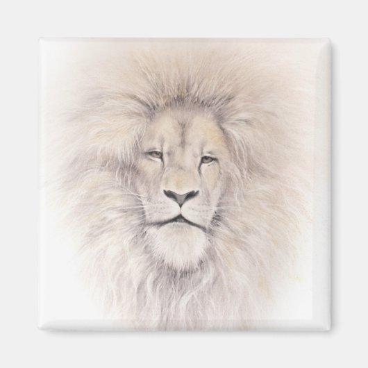 Aslan Magneet (Voorkant)