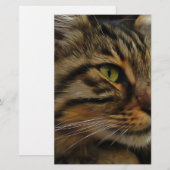 Aslan The Long Hazard Tabby Cat Briefpapier (Voorkant / Achterkant)