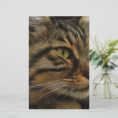 Aslan The Long Hazard Tabby Cat Briefpapier (Staand voorkant)