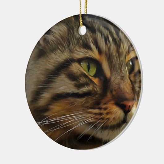 Aslan The Long Hazard Tabby Cat Keramisch Ornament (Links)