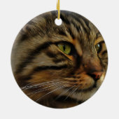 Aslan The Long Hazard Tabby Cat Keramisch Ornament (Achterkant)